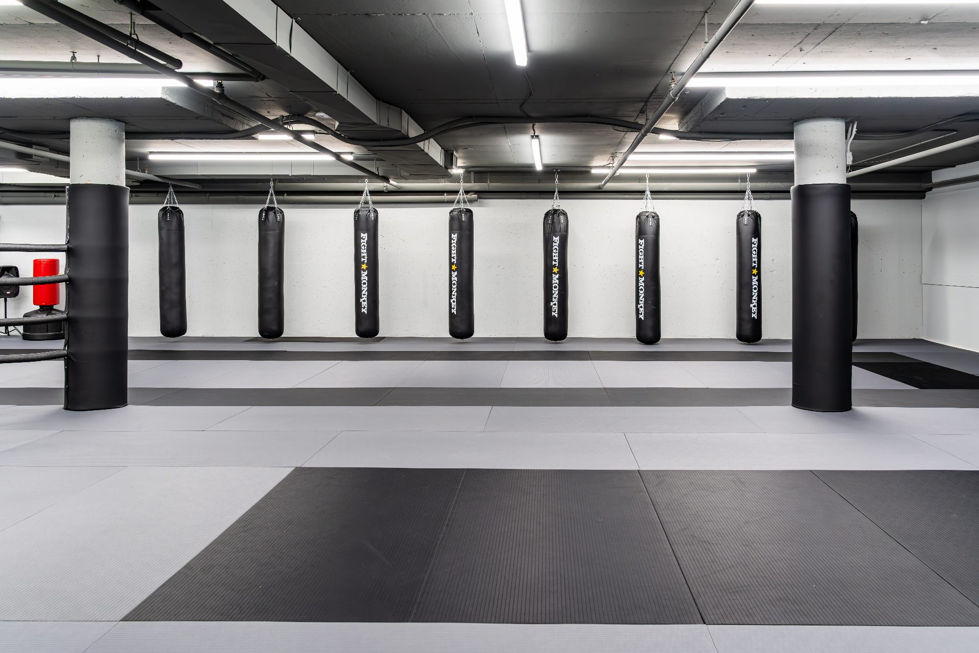 Row of Fight Monkey heavy bags lining the training floor