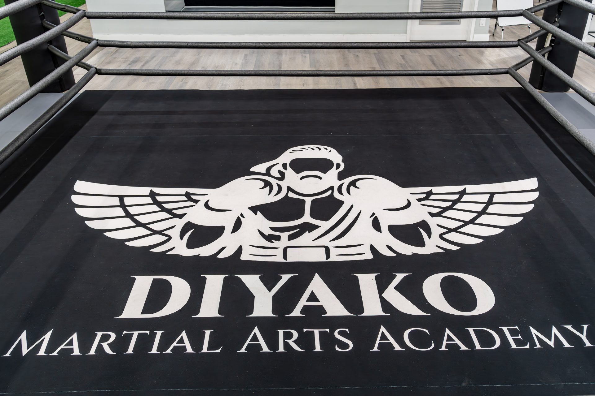 DIYAKO Martial Arts Academy logo on the boxing ring canvas